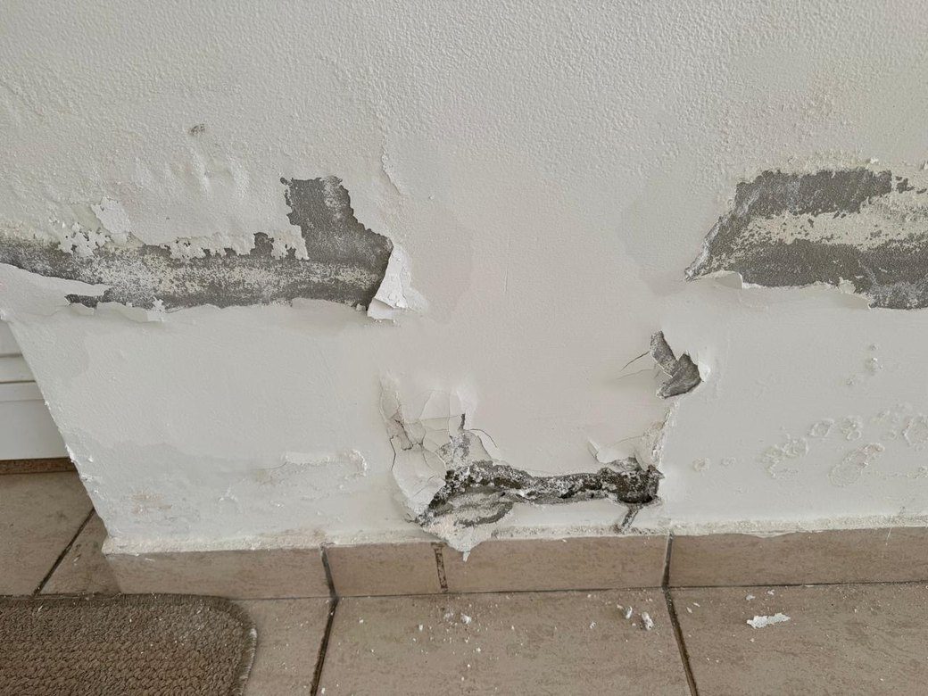 A wall with blown plaster and salt damage at skirting level